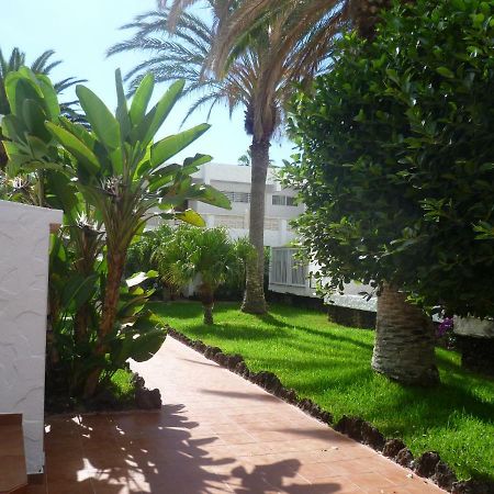 Elana Apartment With Free Wifi Costa Del Silencio Εξωτερικό φωτογραφία