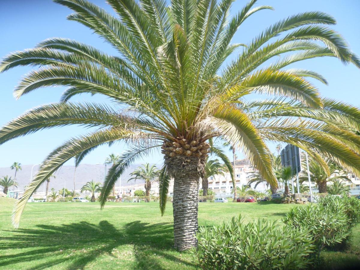 Elana Apartment With Free Wifi Costa Del Silencio Εξωτερικό φωτογραφία