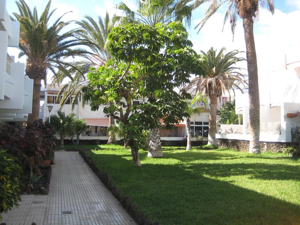 Elana Apartment With Free Wifi Costa Del Silencio Εξωτερικό φωτογραφία