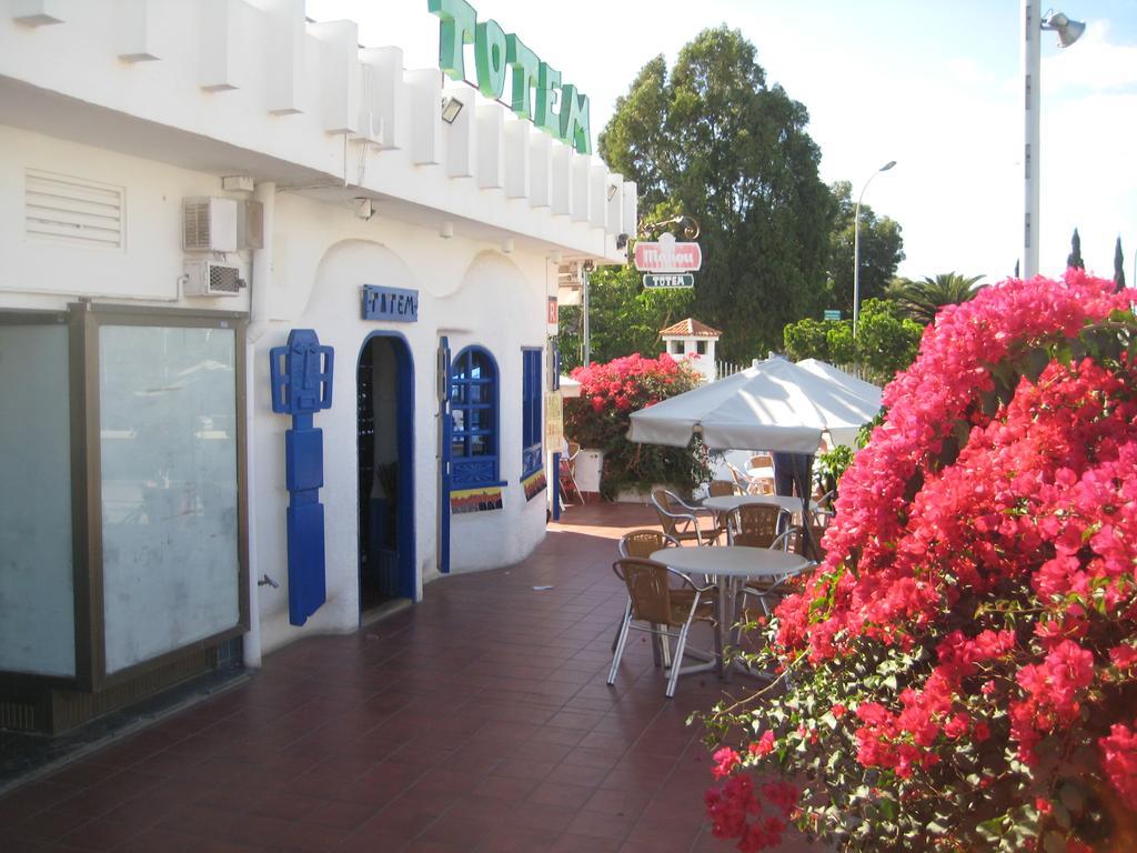 Elana Apartment With Free Wifi Costa Del Silencio Εξωτερικό φωτογραφία